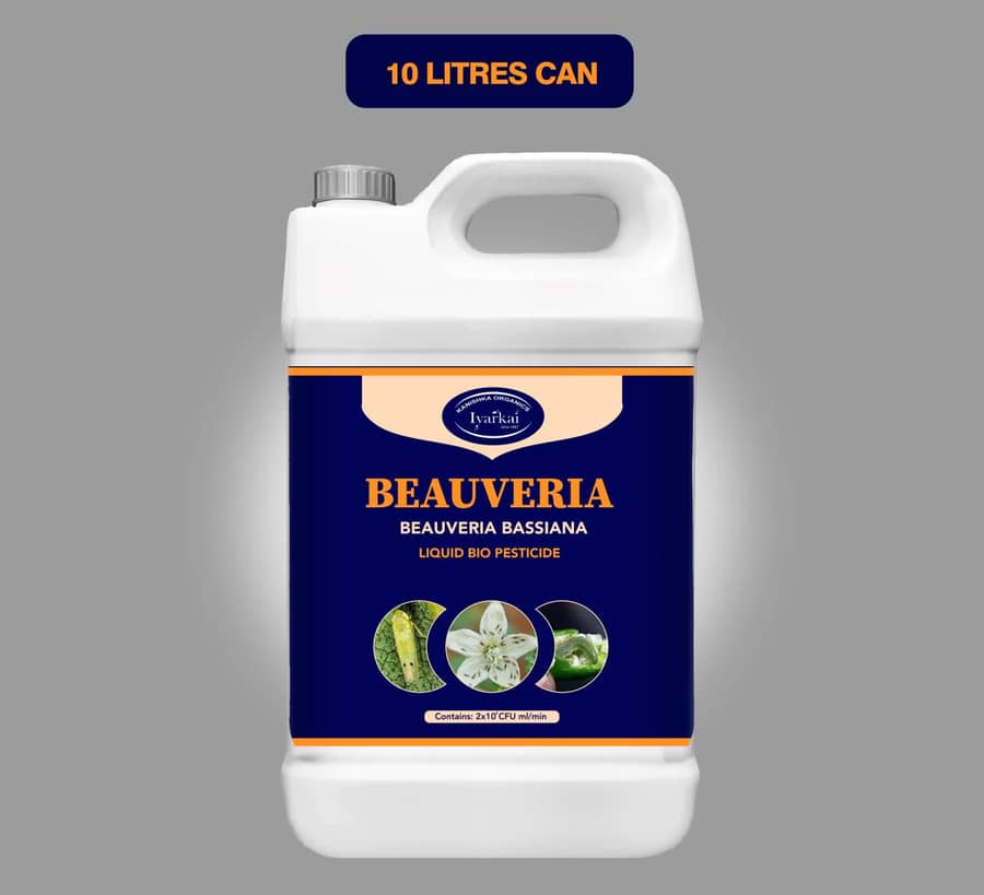 Biocontrol Agent Programmes