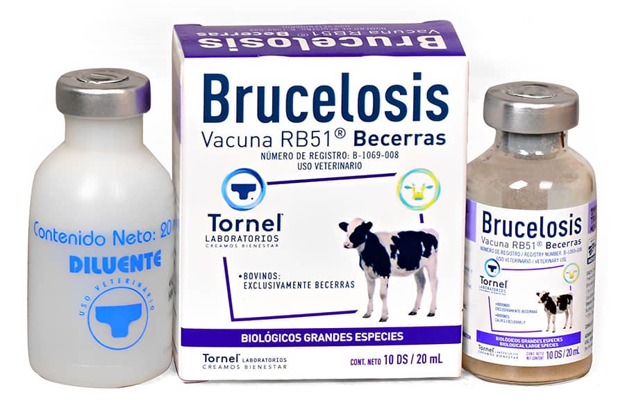 Brucellosis Vaccine
