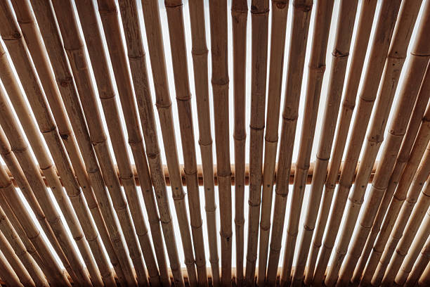 Bamboo structural components offer the highest strength-to-weight ratio of any building material.