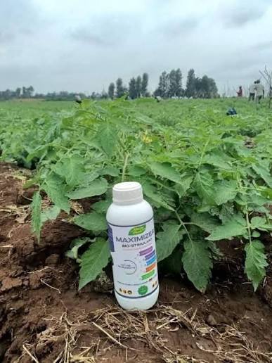 Biostimulants improve crop nutrient uptake without adding nutrient load.
