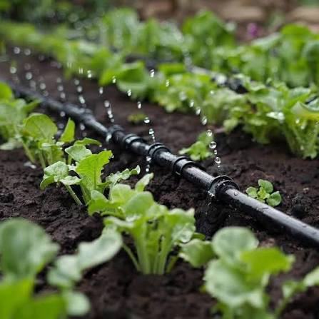 Drip Irrigation Systems