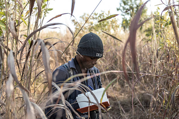 Ecological monitoring programmes track project biodiversity impact.