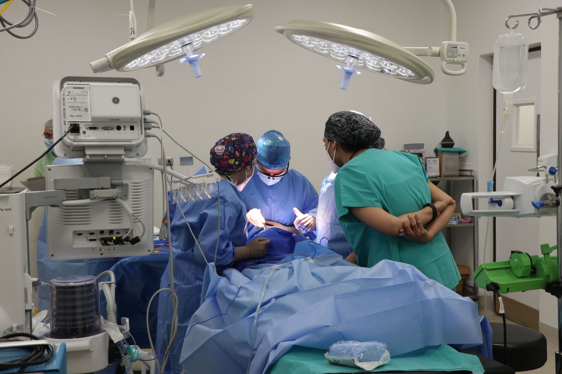 Veterinary Imaging