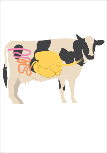 Transition cow screening returns 5-10 times its cost.
