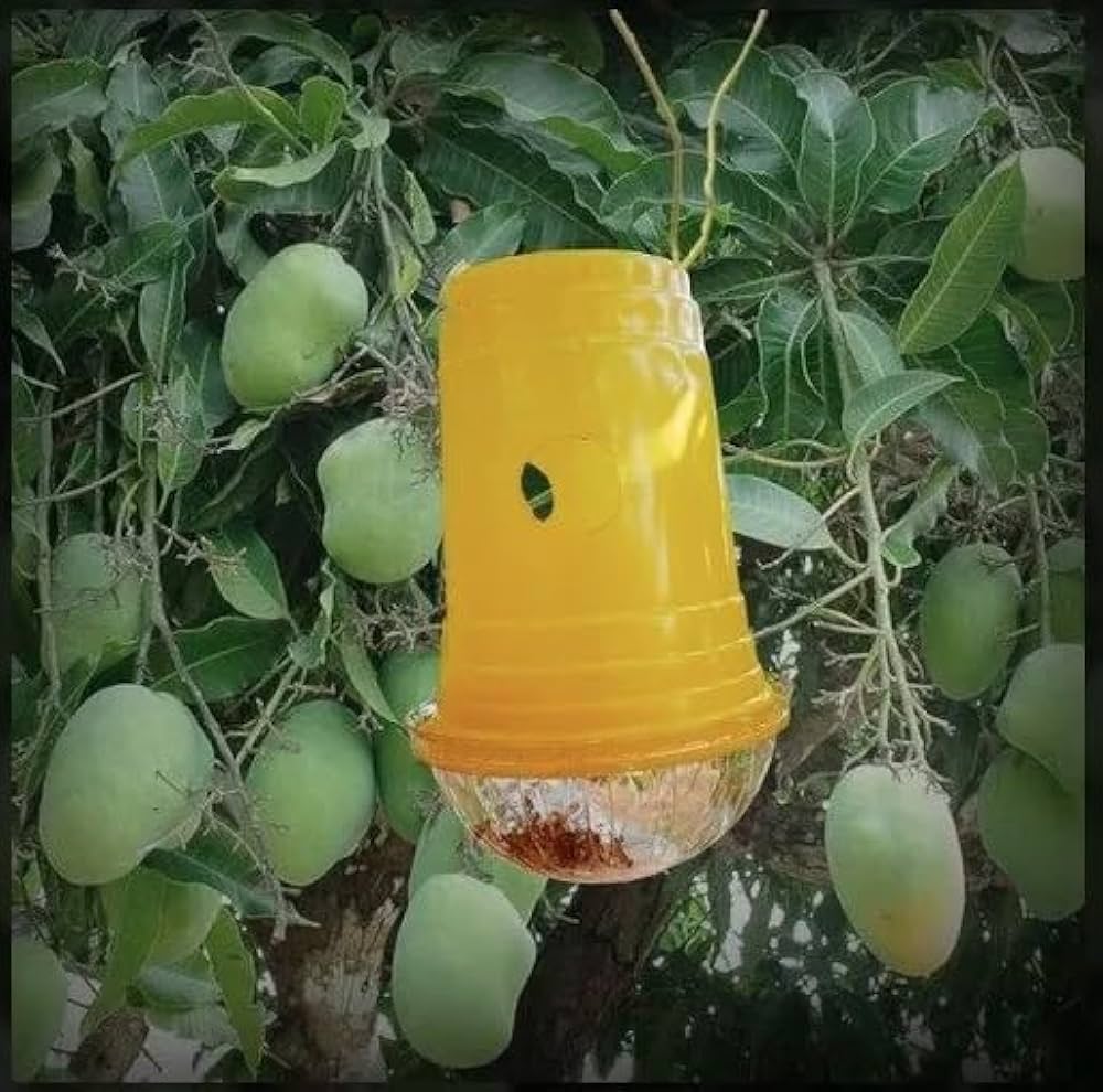 Pheromone Trap Systems