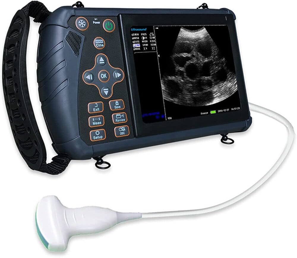Portable Veterinary Ultrasound