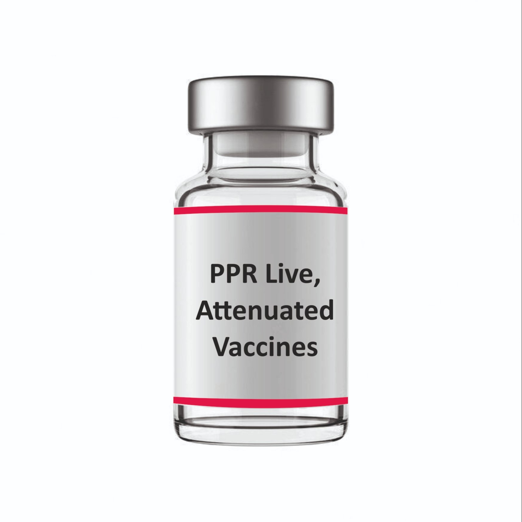 PPR Vaccine (Pestivac)