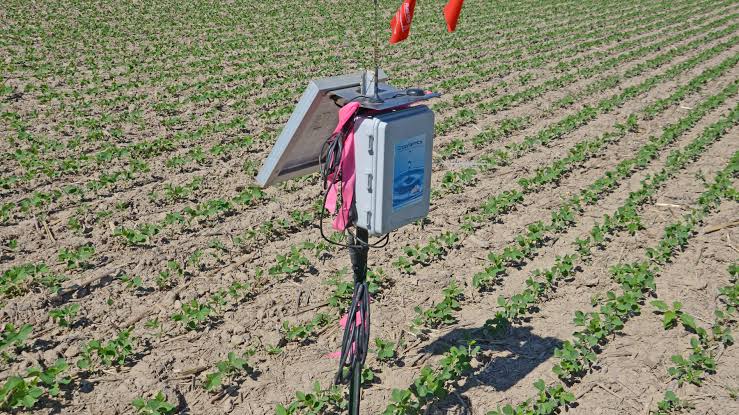 Connected Soil Sensor Networks