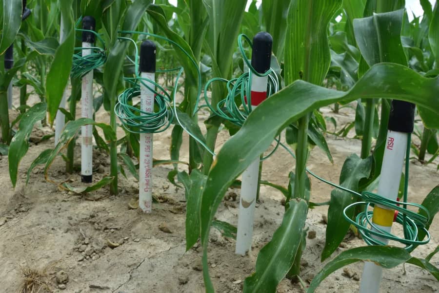 Connected Soil Sensor Networks