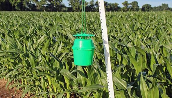 Pheromone Trap Systems