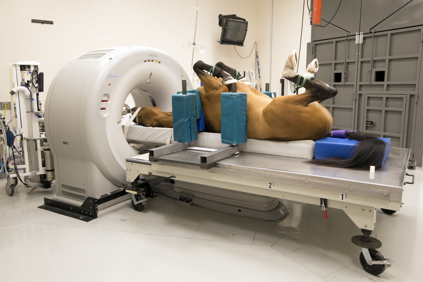CT staging defines the oncology treatment path.